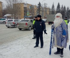 «Семечки Покровские» - аккуратным водителям